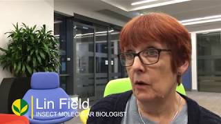 Neonicotinoids and bees  Professor Lin Field [upl. by Okika]