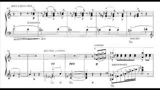 Franz Liszt Schlummerlied Im Grabe S195a [upl. by Erapsag]