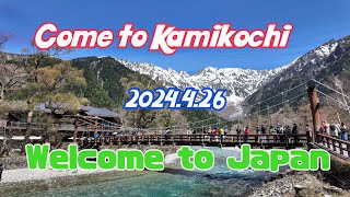 【Come to Kamikochi】Spring has arrived🍀A nice wind blows in Kamikochi🙋🏻‍♂ kamikochi come to Nagano [upl. by Airitac]