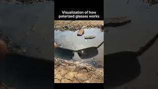 Visualization of how polarized glasses works 😮‍💨 [upl. by Sally491]