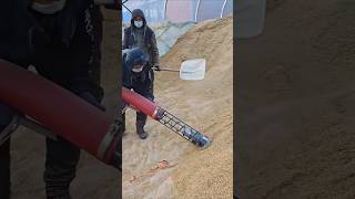 Rice loading Good tools and machinery improve work efficiency [upl. by Kcitrap407]