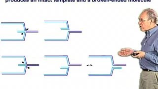 BreakInduced Replication  Jim Haber Brandeis [upl. by Marcelia]