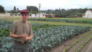 Introduction to the WSU Organic Farming System Research in Puyallup WA [upl. by Hessney]