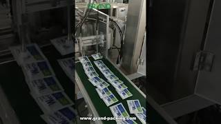 wet wipes pouching machine [upl. by Okiram]