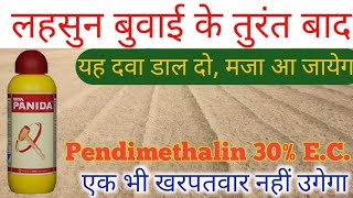 खरपतवारनाशक दवा पेंडीमेथालीन का प्रयोग कैसे करें Pendimethalin 30ECTata Panidasmartfarming [upl. by Ayahc]