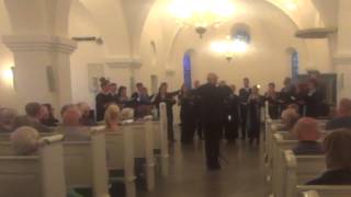 Jesu Criste  August Söderman Kammerkoret Coro Misto Vejgaard Kirke 2014 [upl. by Einatsed98]