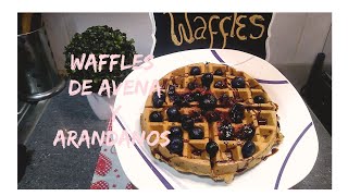 WAFFLE DE AVENA Y ARANDANOS WAFFLE SUPER FACIL Y NUTRITIVO [upl. by Annaul840]