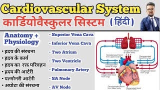 Cardiovascular System in hindi  Structure of Heart  Blood Circulation  SA Node AV Node  Artery [upl. by Alit910]