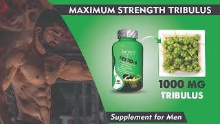 Best testosterone booster for men  testosterone booster bodybuilding hindi  benefits [upl. by Daryn103]