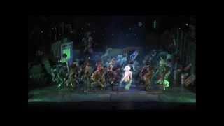 Jellicle Cats  2013 [upl. by Htide]