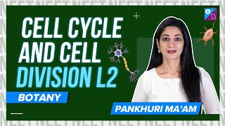 Metaphase Anaphase and Telophase  Cell Cycle and Cell Division Class 11 Biology L2  NEET 2024 [upl. by Philo16]