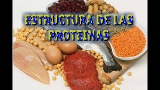 ESTRUCTURA DE PROTEINAS [upl. by Alegnasor382]