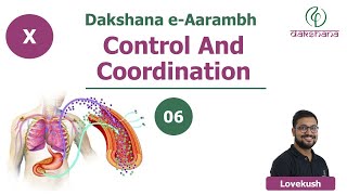 Dakshana  Aarambh  Class X  Biology  Control and Coordination  L06  Lovekush [upl. by Anirahs462]