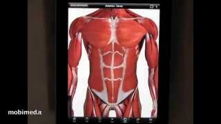 3D4Medical Anatomy Atlas Review  iPad edition  mobimedit [upl. by Doownil]