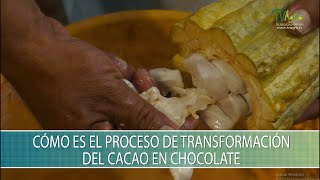 Como es el proceso de transformacion del cacao en chocolate  TvAgro por Juan Gonzalo Angel Restrepo [upl. by Behl]