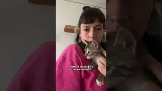 Gato recibe en casa a su nueva hermanita VIDEO HERMOSO🥰😻 [upl. by Remy335]