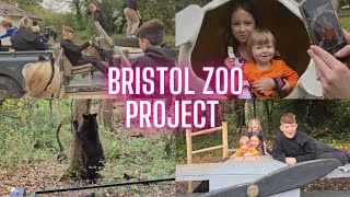 Vlog Bristol zoo project 👌bristolzooproject [upl. by Stag]