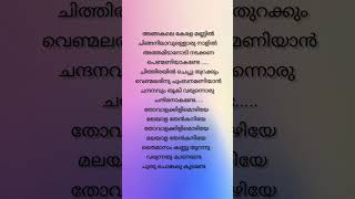 Sundariye✨ song lyrics malayalamsonglyrics music statusvideo shorts youtubeshorts trending [upl. by Cathey]