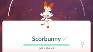 Pokémon Go  Full Scorbunny Evolution amp Dex entries [upl. by Amalita]