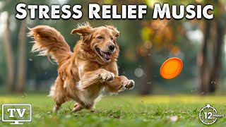 12 Hours of Healing Music for Dogs 🐕 Stress Relief Music For Dogs 🐕 Calming Music For Dogs [upl. by Llednahc]