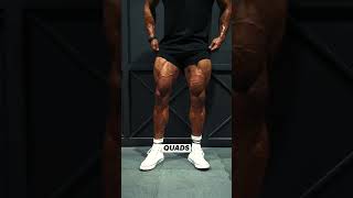 Best Quads Workout for Stronger Legs 🔥💪 QuadsWorkout LegDay LegStrength LowerBodyWorkout [upl. by Oikim372]