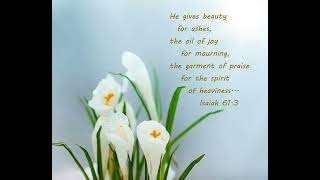 The garment of praise for the spirit of heaviness  Isaiah 613 [upl. by Maryrose981]