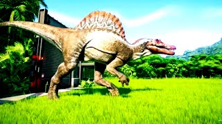 Carcharodontosaurus VS Spinosaurus Jurassic world evolution 2 Trex [upl. by Ahsiel]