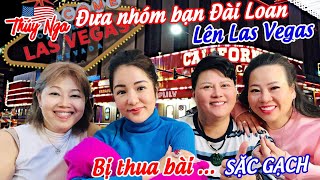 Thuý Nga đưa nhóm bạn Đài Loan lên Lasvegas bị thua bài… Sặc Gạch [upl. by Lonna]