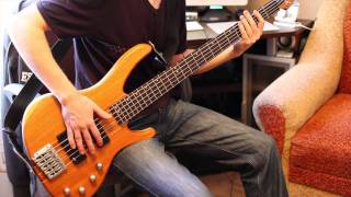 Korn  Narcissistic Cannibal bass cover [upl. by Isma375]