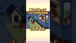 【感動】居なくなってquotシロquotの大切さを知るしんちゃん『シロがお病気だゾ』 クレヨンしんちゃん 感動する話 野原しんのすけ 野原みさえ [upl. by Nnaytsirk677]