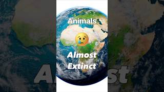 10 Animals Going EXTINCT animalfacts animals interestingfacts [upl. by Gardas]