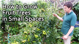 How to Grow Fruit Trees in Small Spaces [upl. by Polloch497]