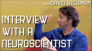 David Eagleman  Interview with a Neuroscientist [upl. by Packer]