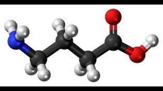 GABA Neurotransmitter [upl. by Kirt]