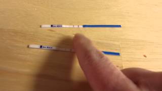 PREGNANCY TEST FALSE POSITIVE from POSITIVE Test [upl. by Akayas359]