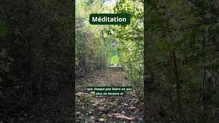 Méditation courte  Ancrage et marche mediter developpementpersonnel soulagementdustress amour [upl. by Kieryt]