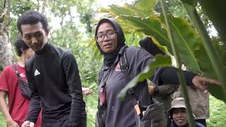 Foraging Bukit Turgo basecamp Pak Triyanto [upl. by Onavlis226]