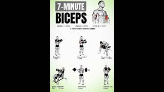 bicep exercises with dumbbells  best bicep workout at home [upl. by Dyob]