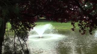 Moorestown New Jersey Neighborhood Spotlight 1 [upl. by Aitekram]