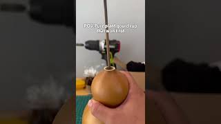 POVPure plant gourd cup that wont rotgourdbottlegourdmanual foryoupage craft youtubeshorts [upl. by Cooperstein]