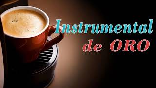 Musica Instrumental de Oro Para Escuchar  30 Grandes Exitos Instrumentales [upl. by Melany]