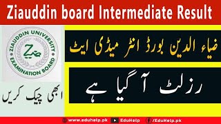 ZUEB Result 2024 SSC Part 2  Ziauddin Board Result 2024 [upl. by Zebulen]