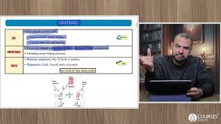 Biochemistry  Lecture 13  Revision [upl. by Arimat]