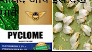 pyclome Sumitomo Chemical पाइकलोम फसलो मैं रंगत लाए [upl. by Gievlos]