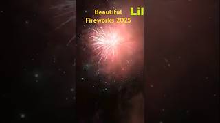 The worlds most beautiful fireworks displays travel ilovesnowboarding snowboard snowbording [upl. by Notsew667]