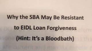 Why the SBA may be resistant to EIDL loan Forgiveness Hint its a Bloodbath for them already [upl. by Berneta]