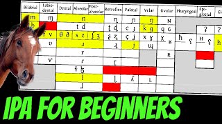 Conlanging 101 Basics of the IPA [upl. by Werby]