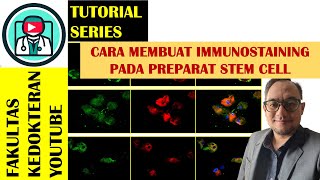 TUTORIAL MEMBUAT IMMUNOLUORESCENCE STAINING PADA PREPARAT STEM CELL [upl. by Olav]