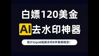 白嫖120美金的AI去水印神器，图片amp视频水印和字幕去无踪，含教程 [upl. by Ahcas]