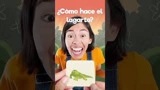 🦎 menique leon lagarto lobo videosgraciosos 123andres alfabeto aprendeespañol education [upl. by Akitan]